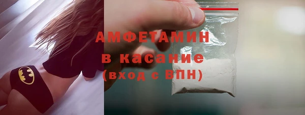 сатива Новокубанск