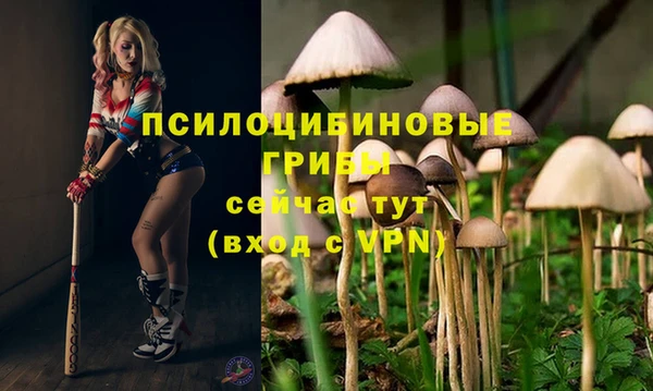 мескалин Алзамай