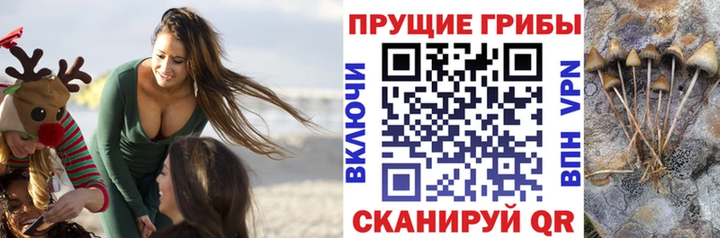 Галлюциногенные грибы Magic Shrooms  Курган 